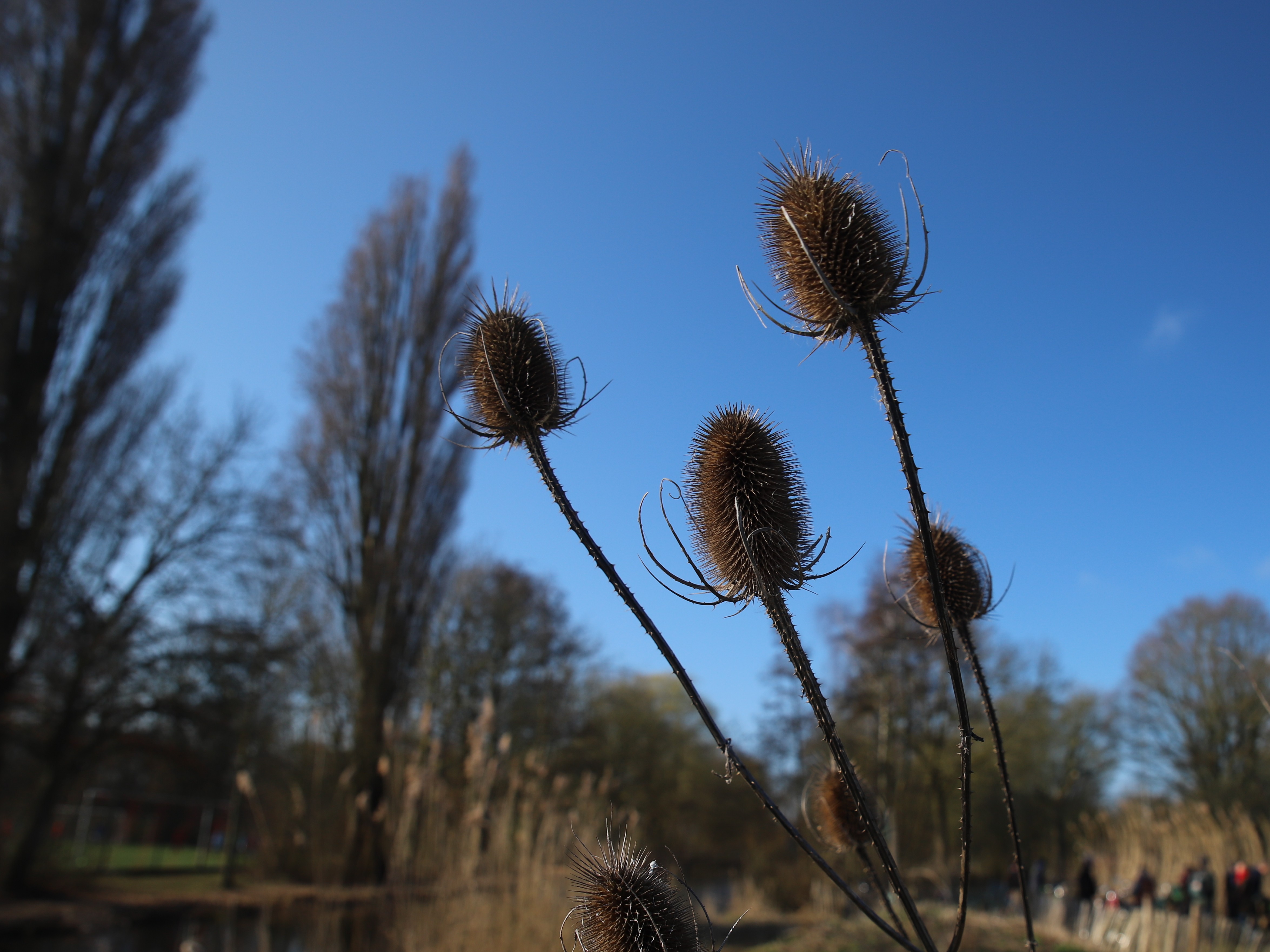 Natuur, je beste buur in mooiste sportparken oktoberklussen
