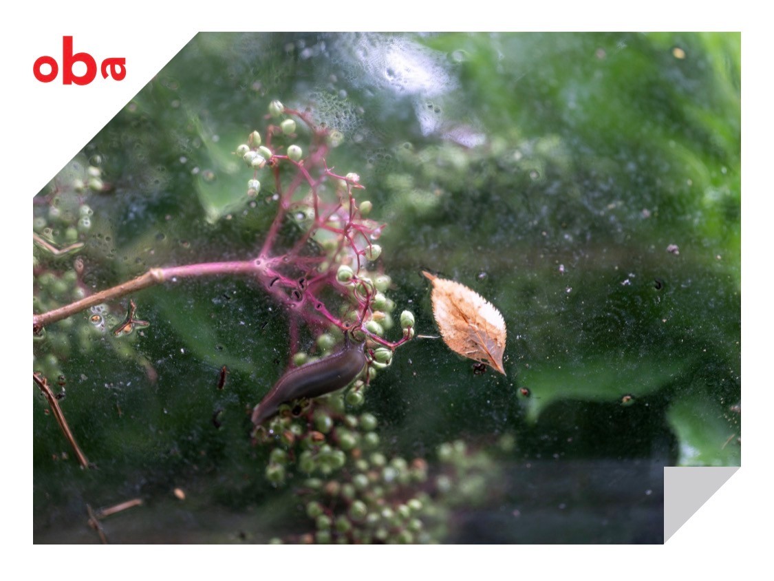 Book launch on Amsterdam’s quiet green oases