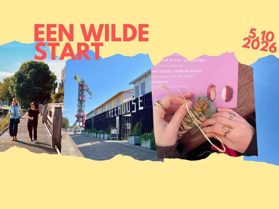 A wild start: are you in?