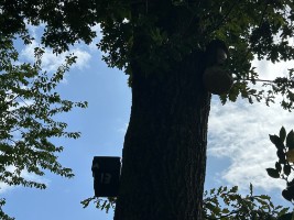 Afbeelding 1 groter tonen
