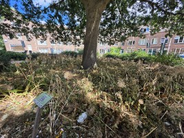 Afbeelding 4 groter tonen