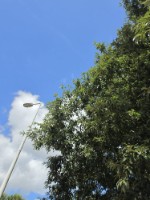 Afbeelding 5 groter tonen
