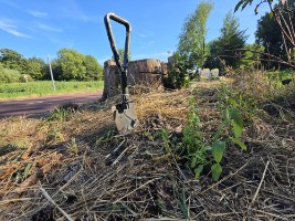 Afbeelding 4 groter tonen