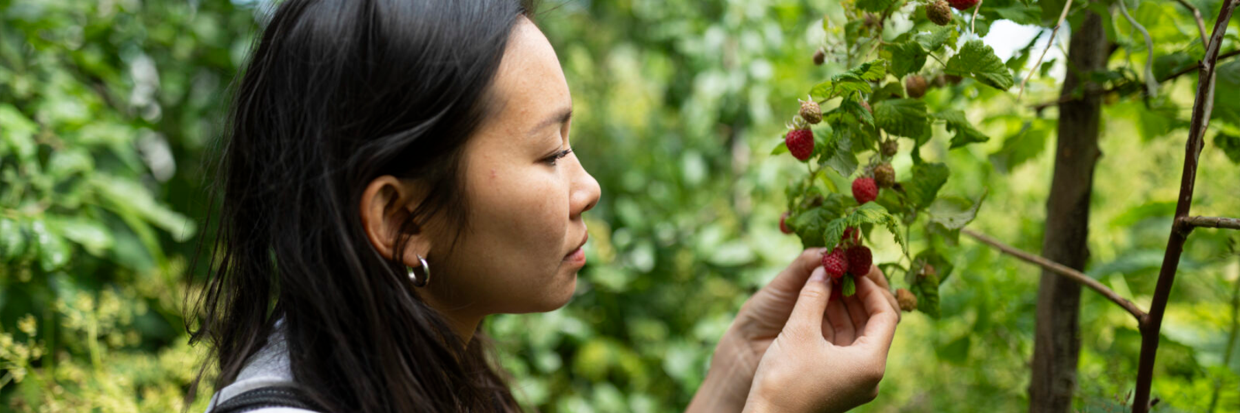 Het verhaal van Tu Anh Lam van de Bajestuin